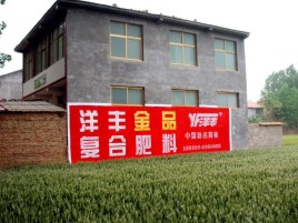 张家界如何让墙体广告展现最大化效果