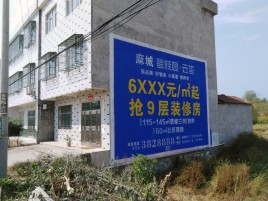 张家界墙体广告质量分析